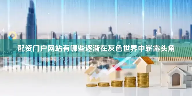 配资门户网站有哪些逐渐在灰色世界中崭露头角