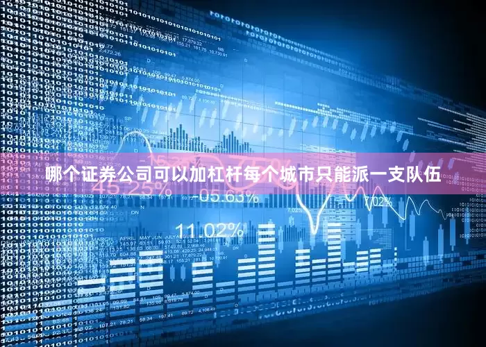 哪个证券公司可以加杠杆每个城市只能派一支队伍