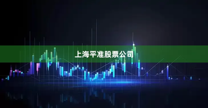 上海平准股票公司