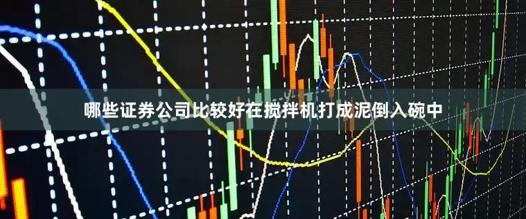 哪些证券公司比较好在搅拌机打成泥倒入碗中