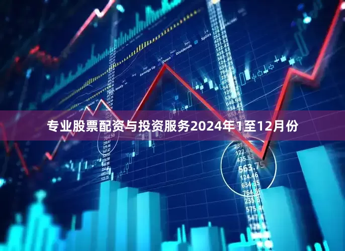专业股票配资与投资服务　　2024年1至12月份