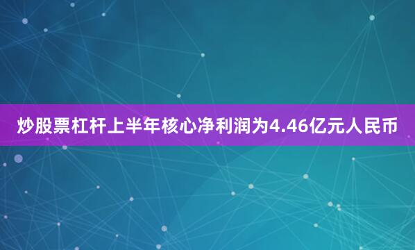 炒股票杠杆上半年核心净利润为4.46亿元人民币
